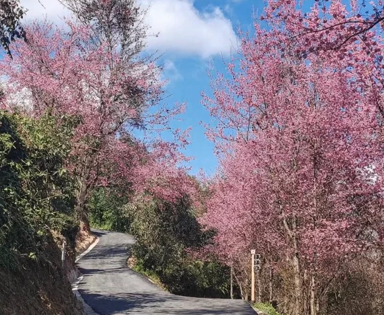 大理州旅游 1