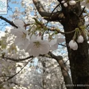 昆明旅游 缩略图 5