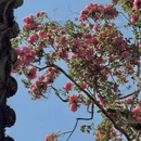大理州旅游 缩略图 2