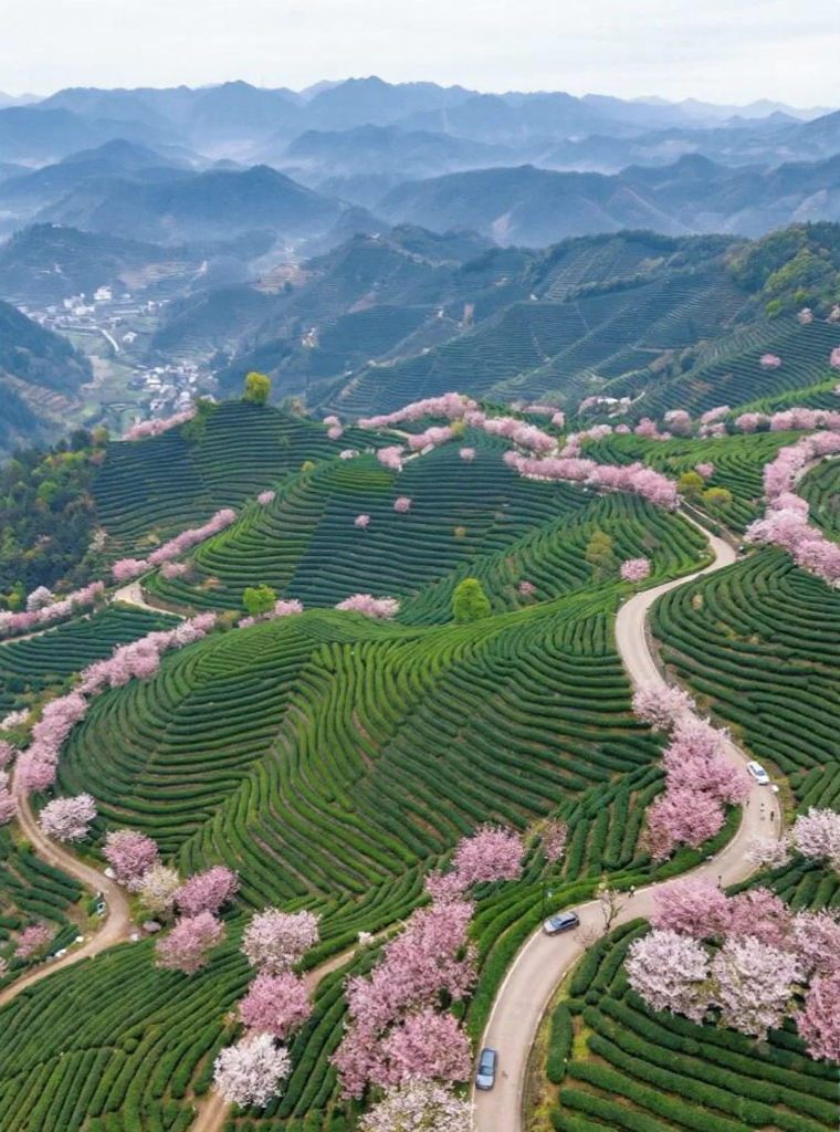 杭州旅游