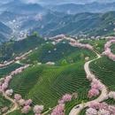 杭州旅游 缩略图 1