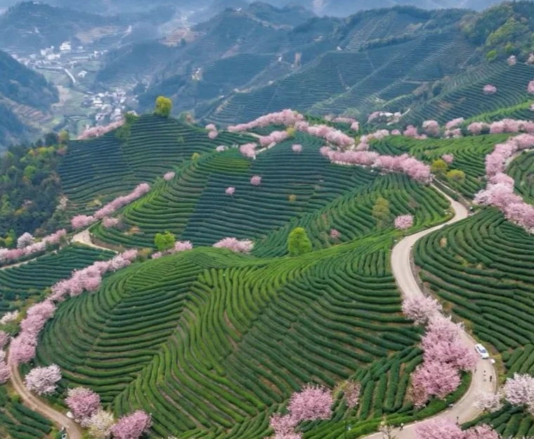 杭州旅游 1