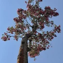 大理州旅游 缩略图 7