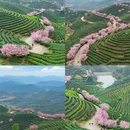 杭州旅游 缩略图 3