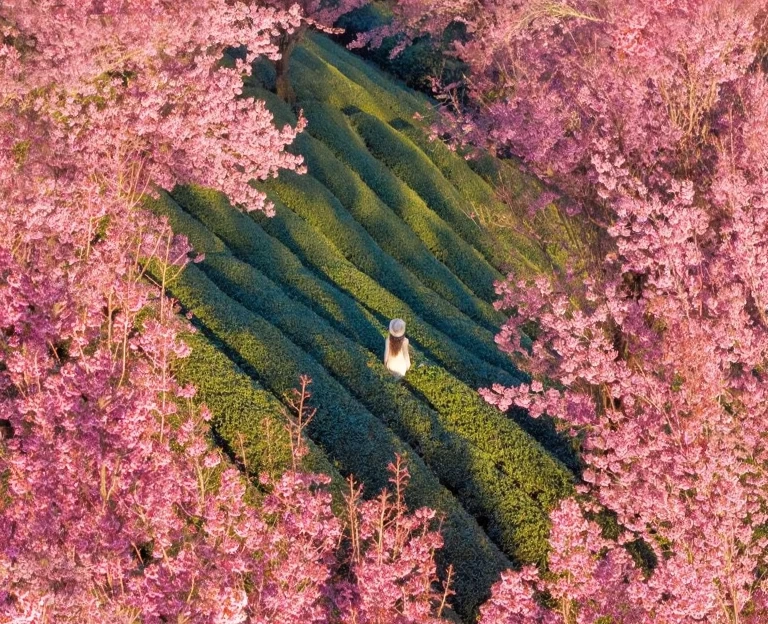 大理州旅游 1