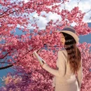 大理州旅游 缩略图 6