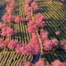 大理州旅游 缩略图 5