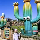 大理州旅游 缩略图 7