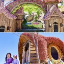 大理州旅游 缩略图 12