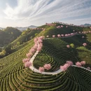 杭州旅游 缩略图 3