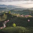杭州旅游 缩略图 1