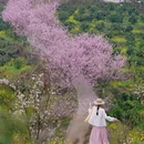 桂林旅游 缩略图 1