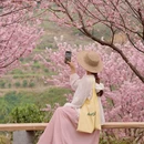 桂林旅游 缩略图 5