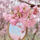桂林旅游 缩略图 6