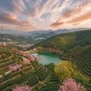 杭州旅游 缩略图 4