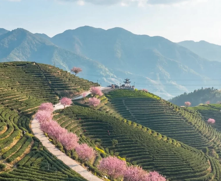 杭州旅游 1