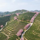 杭州旅游 缩略图 5