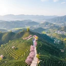 杭州旅游 缩略图 6