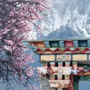 林芝旅游 缩略图 6