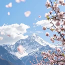 林芝旅游 缩略图 4