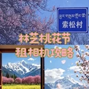 林芝旅游 缩略图 1