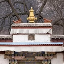 林芝旅游 缩略图 3