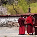林芝旅游 缩略图 9