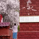 林芝旅游 缩略图 11