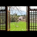 林芝旅游 缩略图 2