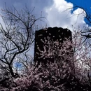 林芝旅游 缩略图 18