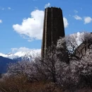 林芝旅游 缩略图 17