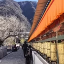 林芝旅游 缩略图 8