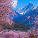 林芝旅游 缩略图 1