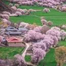 林芝旅游 缩略图 6