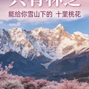林芝旅游 缩略图 1