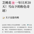 林芝旅游 缩略图 2