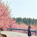 雅安旅游 缩略图 6
