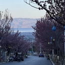 大理州旅游 缩略图 6