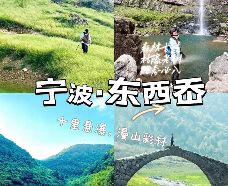 上海旅游 1
