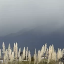 大理州旅游 缩略图 15