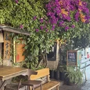 大理州旅游 缩略图 14
