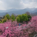 大理州旅游 缩略图 1