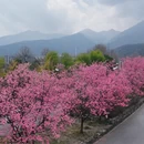 大理州旅游 缩略图 3