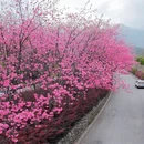大理州旅游 缩略图 6