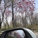 大理州旅游 缩略图 9