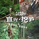 上海旅游 缩略图 2