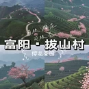 上海旅游 缩略图 3