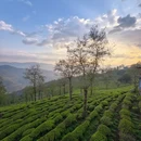 昆明旅游 缩略图 3