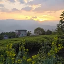 昆明旅游 缩略图 2