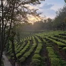 昆明旅游 缩略图 1